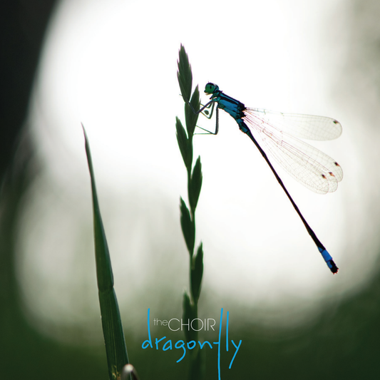 Dragonfly CD Double Album