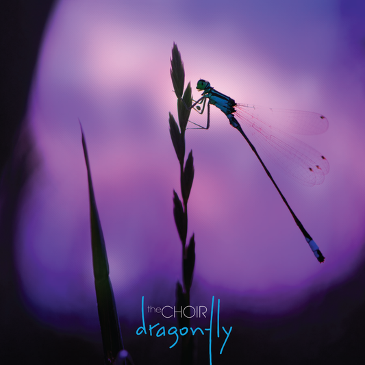 Dragonfly Vinyl Double Album