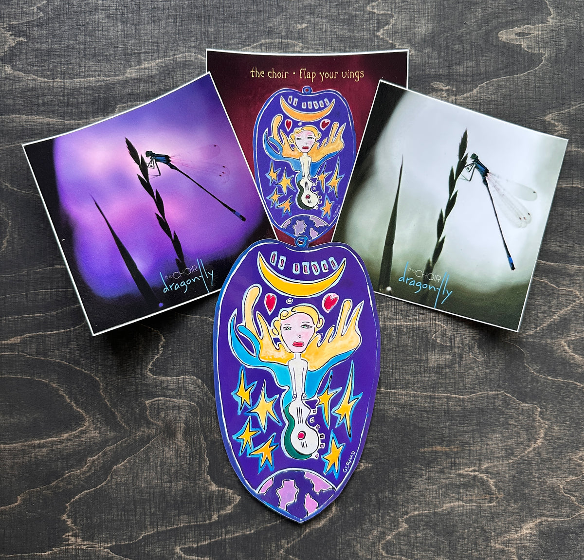 Flap Your Wings Car/Refrigerator Magnet & Sticker Set