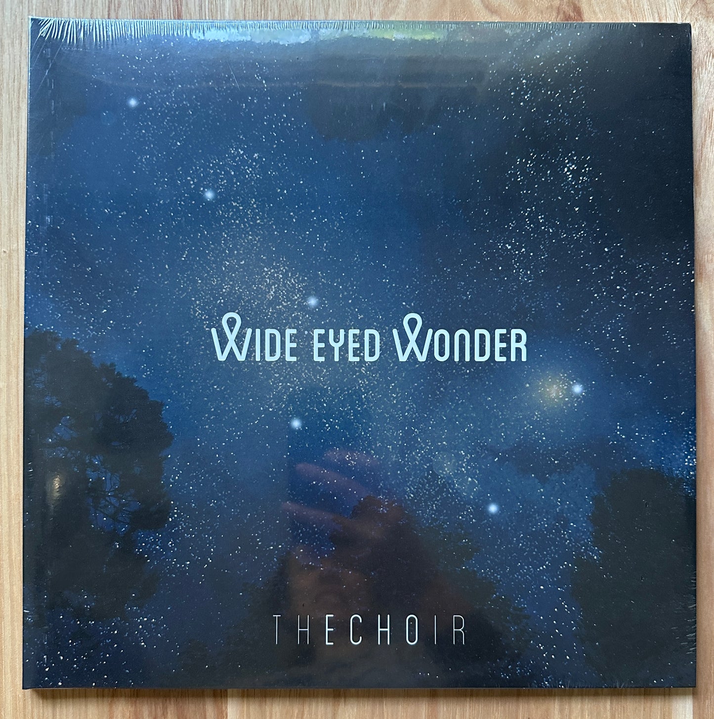Wide Eyed Wonder Remastered Vinyl (one per customer, please)
