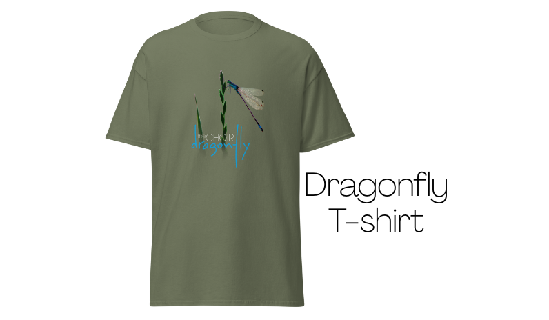 The Choir - Dragonfly T-shirt