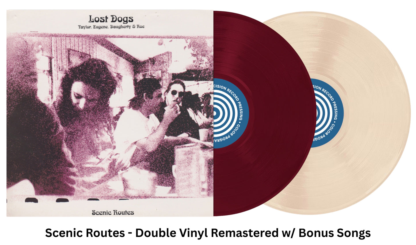 Scenic Routes Remastered & Expanded Double LP (Includes Download)