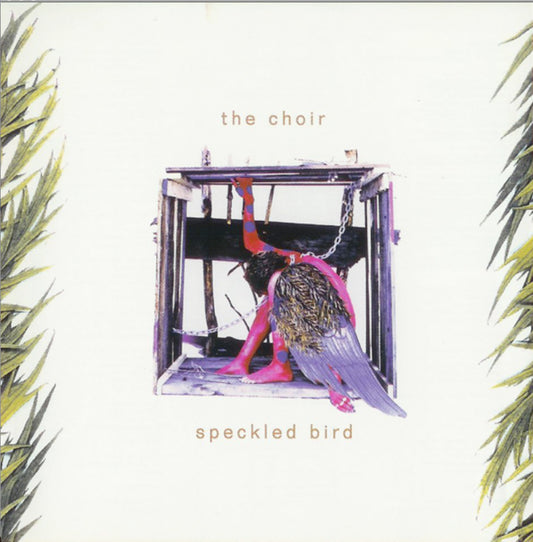 Speckled Bird - Download Only - The Choir